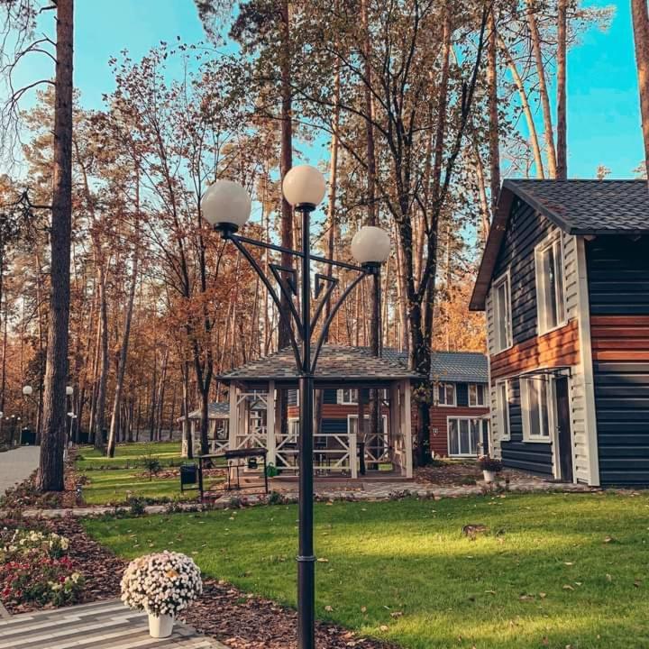 Клуб Відпочинку Dacha Villa Sokirno ภายนอก รูปภาพ